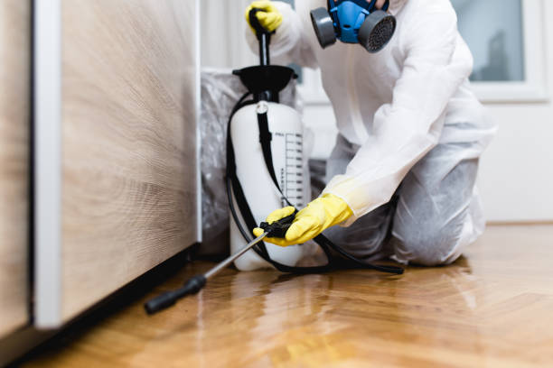 Best Best Pest Control Companies  in Golden, CO