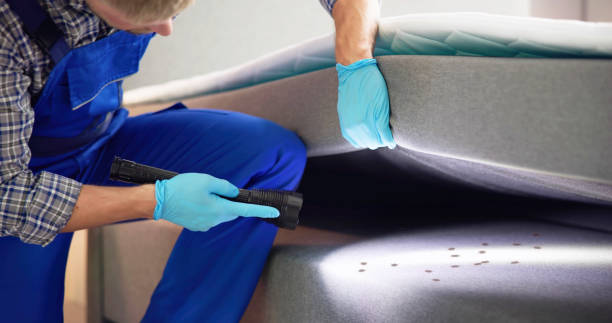 Best Mosquito Control Services  in Golden, CO